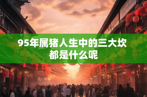 95年属猪人生中的三大坎 都是什么呢