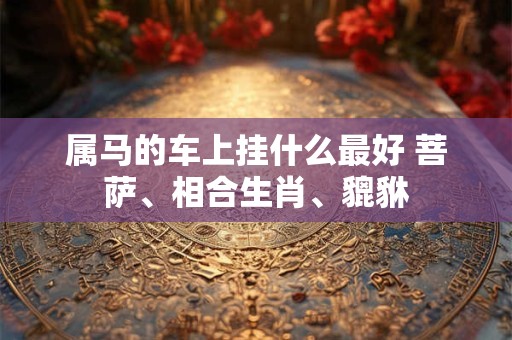 属马的车上挂什么最好 菩萨、相合生肖、貔貅