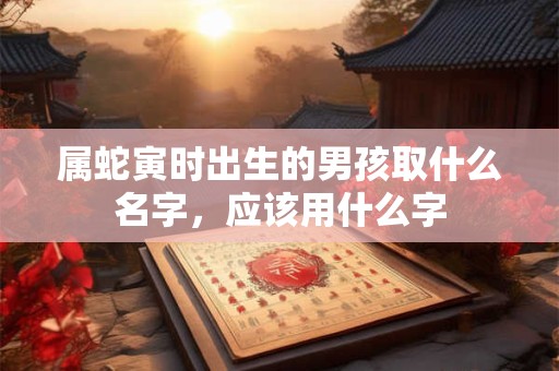 属蛇寅时出生的男孩取什么名字，应该用什么字