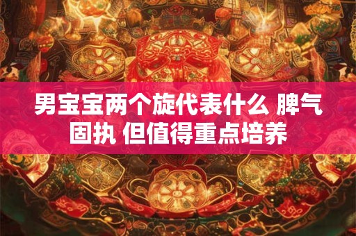 男宝宝两个旋代表什么 脾气固执 但值得重点培养