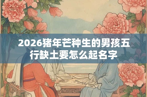 2026猪年芒种生的男孩五行缺土要怎么起名字