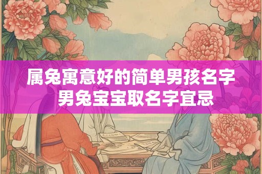 属兔寓意好的简单男孩名字 男兔宝宝取名字宜忌 属兔寓意好的简单男孩名字 男兔宝宝取名字宜忌