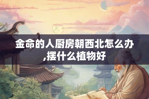 金命的人厨房朝西北怎么办,摆什么植物好