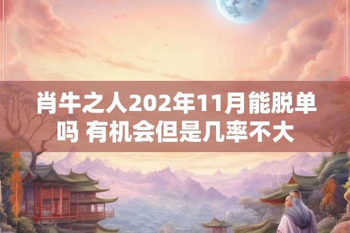 肖牛之人202年11月能脱单吗 有机会但是几率不大