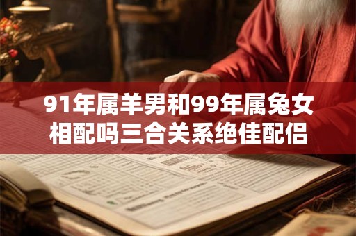 91年属羊男和99年属兔女相配吗三合关系绝佳配侣