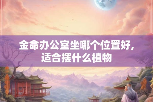 金命办公室坐哪个位置好,适合摆什么植物