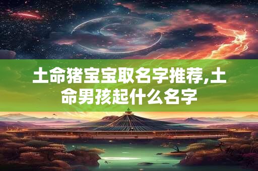 土命猪宝宝取名字推荐,土命男孩起什么名字