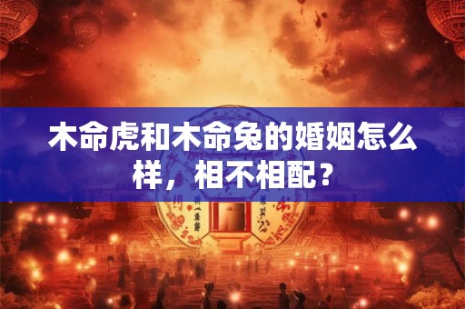 木命虎和木命兔的婚姻怎么样，相不相配？