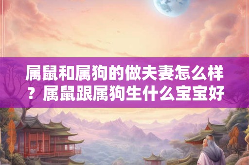 属鼠和属狗的做夫妻怎么样？属鼠跟属狗生什么宝宝好？
