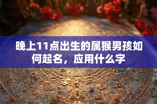 晚上11点出生的属猴男孩如何起名，应用什么字