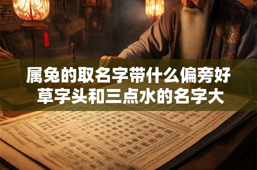 属兔的取名字带什么偏旁好 草字头和三点水的名字大全集