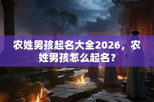 农姓男孩起名大全2026，农姓男孩怎么起名？