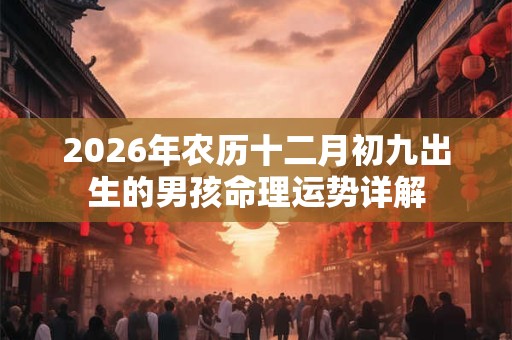 2026年农历十二月初九出生的男孩命理运势详解