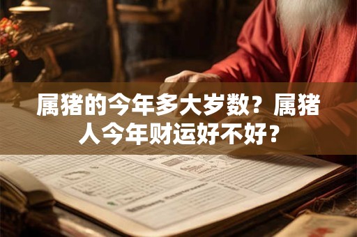 属猪的今年多大岁数？属猪人今年财运好不好？