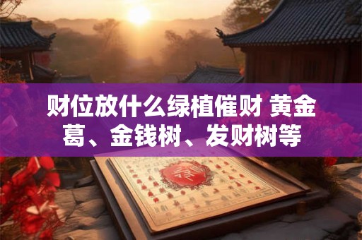 财位放什么绿植催财 黄金葛、金钱树、发财树等