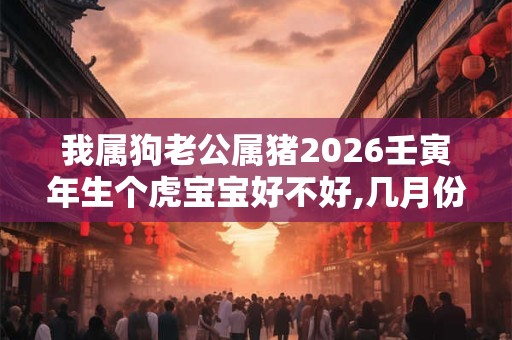 我属狗老公属猪2026壬寅年生个虎宝宝好不好,几月份的虎宝宝有福气？