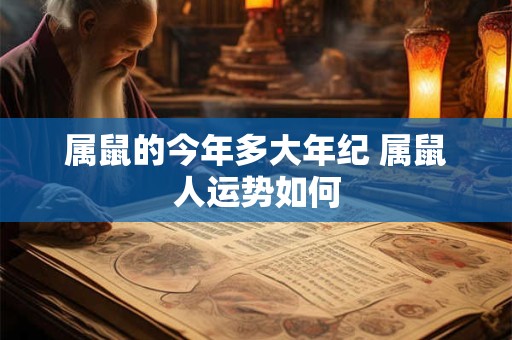 属鼠的今年多大年纪 属鼠人运势如何