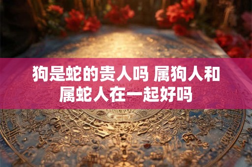 狗是蛇的贵人吗 属狗人和属蛇人在一起好吗