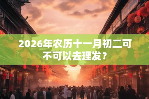 2026年农历十一月初二可不可以去理发？