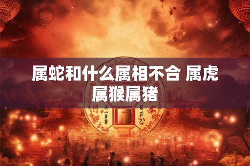 属蛇和什么属相不合 属虎属猴属猪