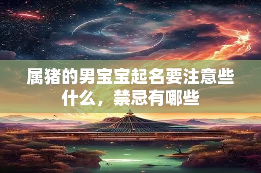 属猪的男宝宝起名要注意些什么，禁忌有哪些