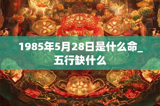1985年5月28日是什么命_五行缺什么