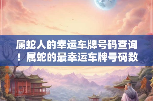 属蛇人的幸运车牌号码查询！属蛇的最幸运车牌号码数字