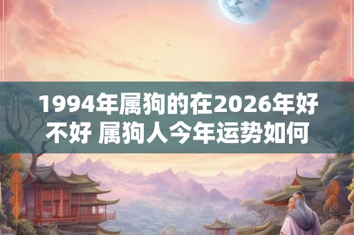 1994年属狗的在2026年好不好 属狗人今年运势如何