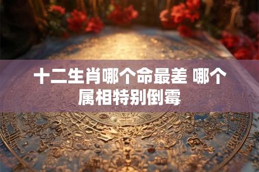 十二生肖哪个命最差 哪个属相特别倒霉