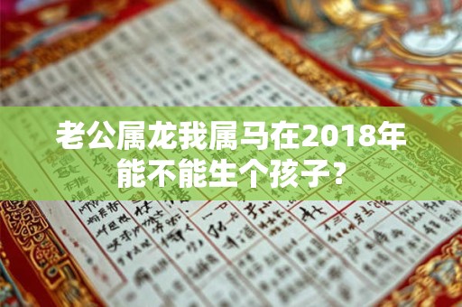 老公属龙我属马在2018年能不能生个孩子？