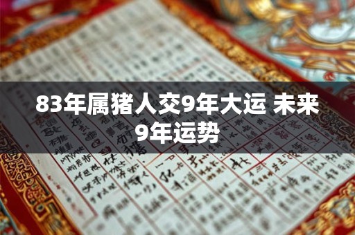 83年属猪人交9年大运 未来9年运势
