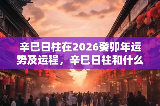 辛巳日柱在2026癸卯年运势及运程，辛巳日柱和什么日柱最配？