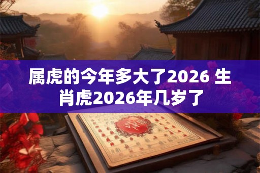 属虎的今年多大了2026 生肖虎2026年几岁了