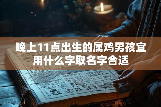 晚上11点出生的属鸡男孩宜用什么字取名字合适