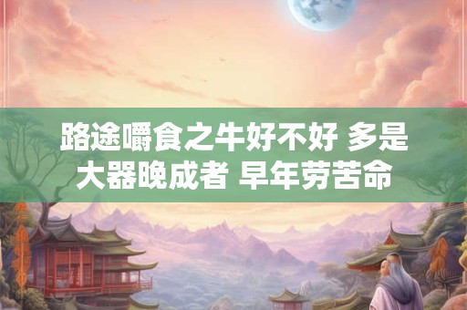 路途嚼食之牛好不好 多是大器晚成者 早年劳苦命
