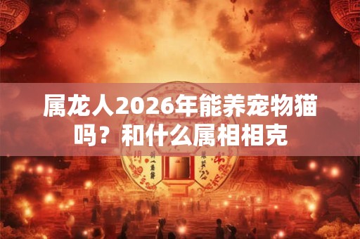 属龙人2026年能养宠物猫吗？和什么属相相克