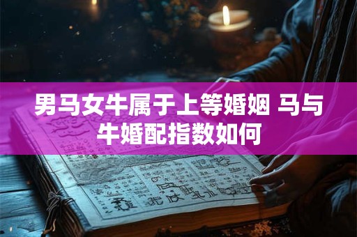 男马女牛属于上等婚姻 马与牛婚配指数如何 男马女牛属于上等婚姻 马与牛婚配指数如何