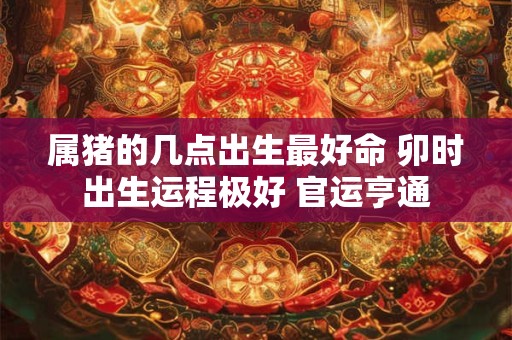 属猪的几点出生最好命 卯时出生运程极好 官运亨通