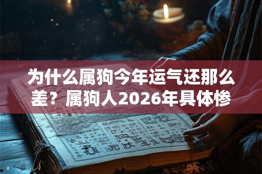 为什么属狗今年运气还那么差？属狗人2026年具体惨在哪方面？