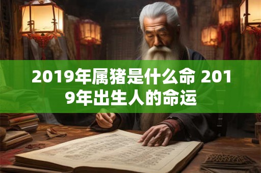 2019年属猪是什么命 2019年出生人的命运