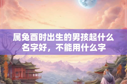 属兔酉时出生的男孩起什么名字好，不能用什么字