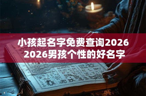 小孩起名字免费查询2026 2026男孩个性的好名字