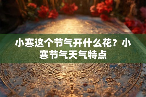 小寒这个节气开什么花？小寒节气天气特点