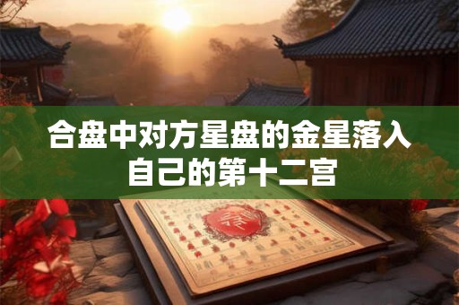 合盘中对方星盘的金星落入自己的第十二宫