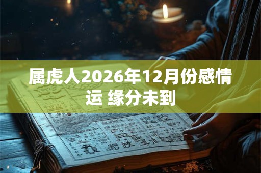 属虎人2026年12月份感情运 缘分未到