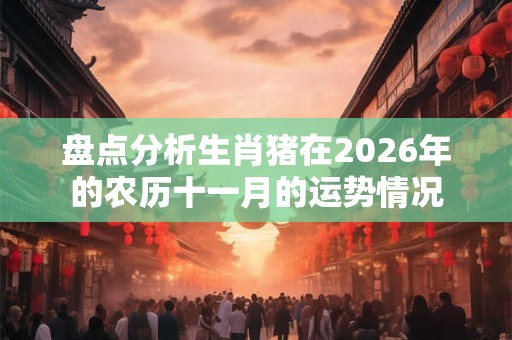 盘点分析生肖猪在2026年的农历十一月的运势情况
