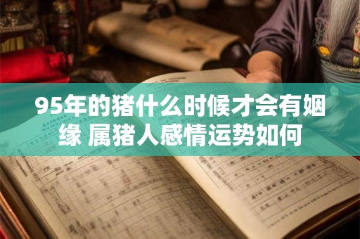 95年的猪什么时候才会有姻缘 属猪人感情运势如何
