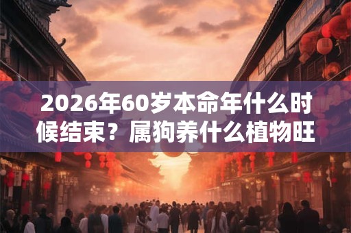 2026年60岁本命年什么时候结束？属狗养什么植物旺财运？