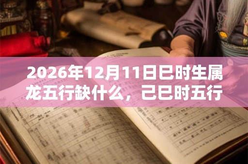 2026年12月11日巳时生属龙五行缺什么，己巳时五行缺什么