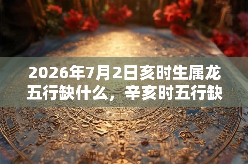 2026年7月2日亥时生属龙五行缺什么，辛亥时五行缺什么